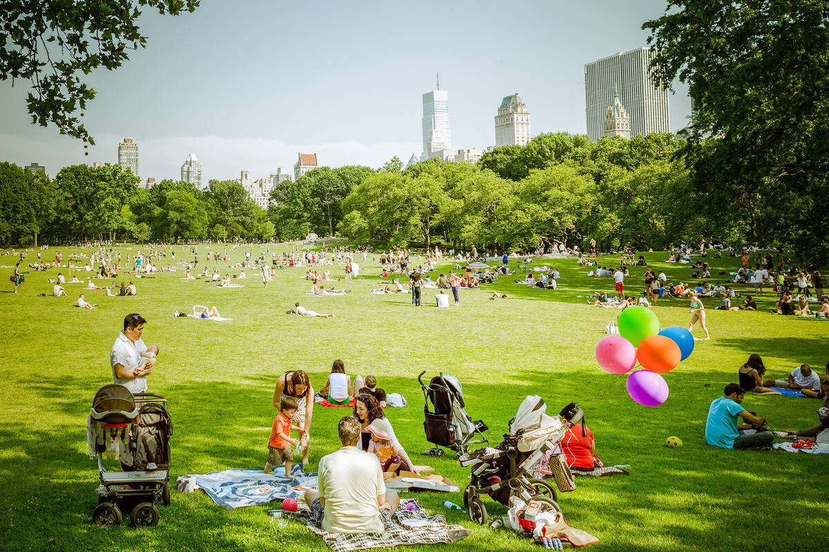Where To Have A Picnic In Central Park