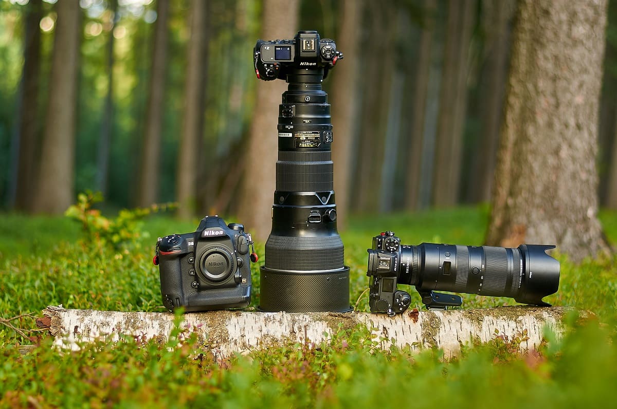Which Camera Is Best For Outdoor Photography