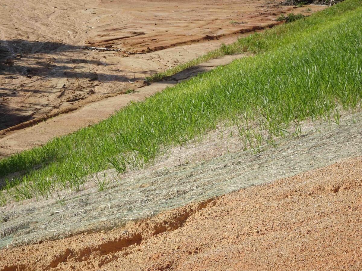 Why Is Grass Used For Erosion Control