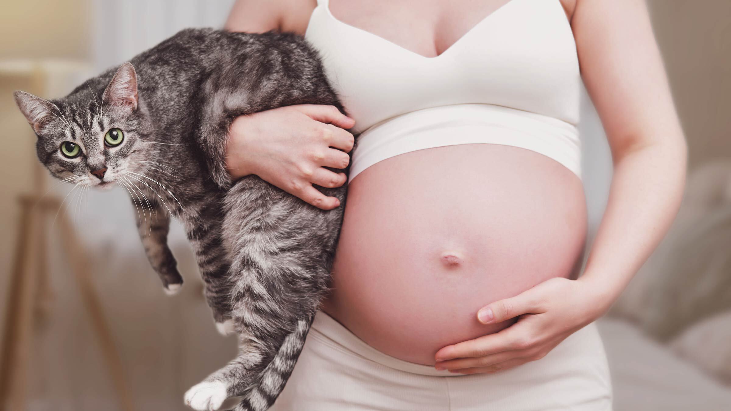 Can You Change A Litter Box When Pregnant