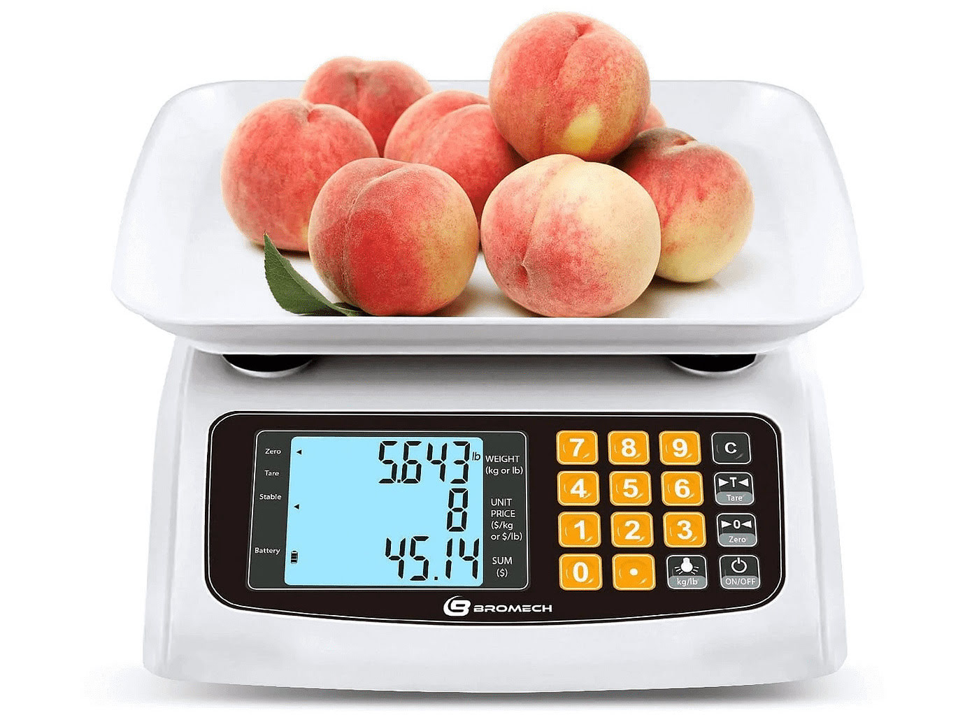 How A Digital Weight Scale Works