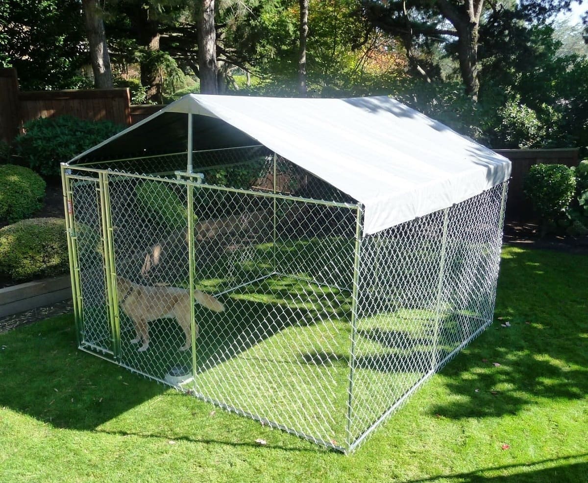How Big Should An Outdoor Dog Kennel Be?