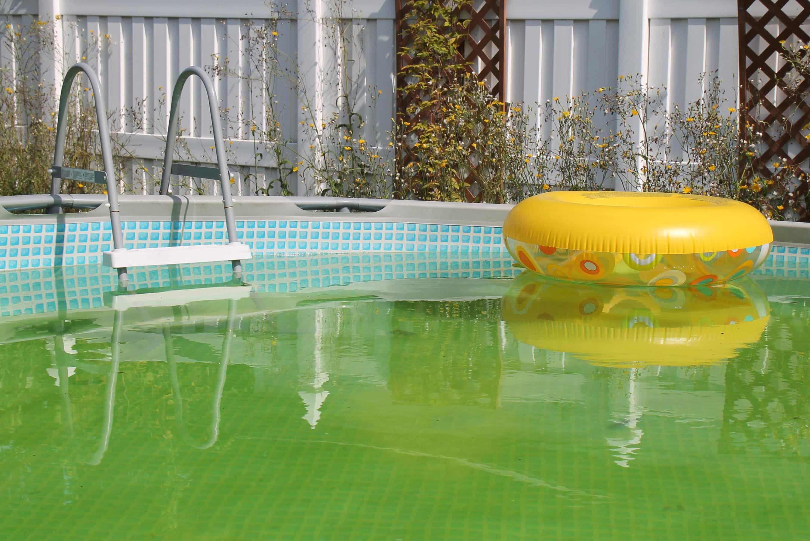 How Do You Get Rid Of Mustard Algae In A Swimming Pool