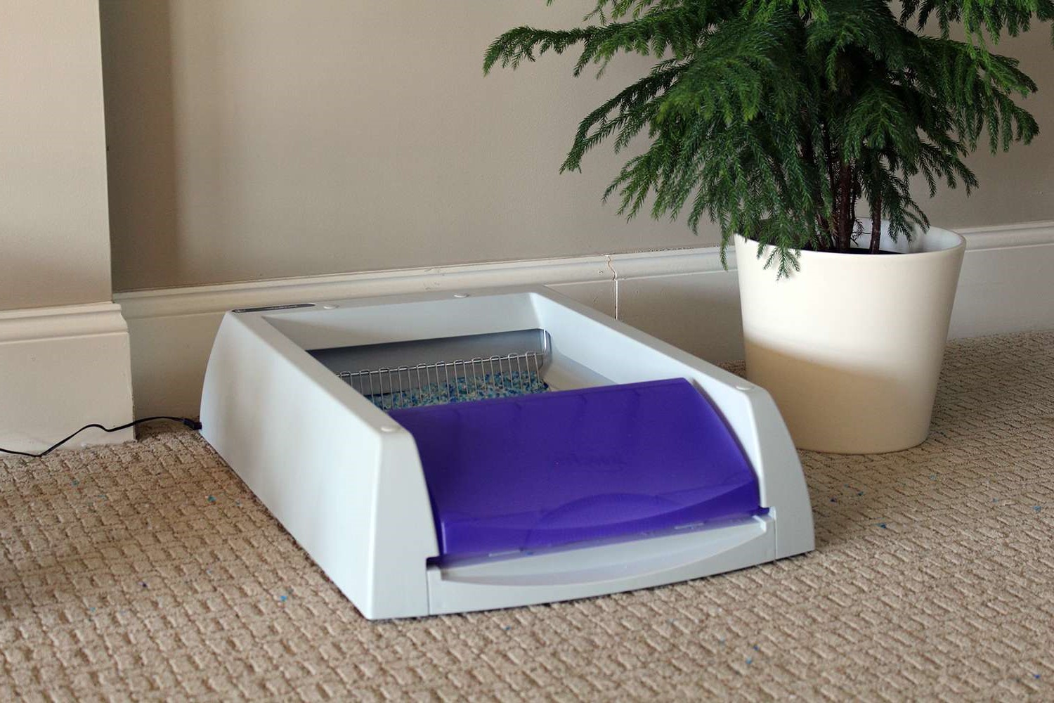 How Does Scoopfree Litter Box Work?