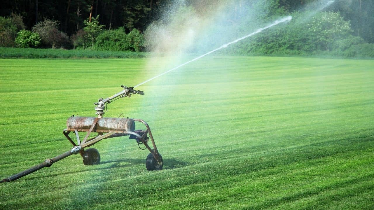 How Long Does It Take Grass To Dry After Watering