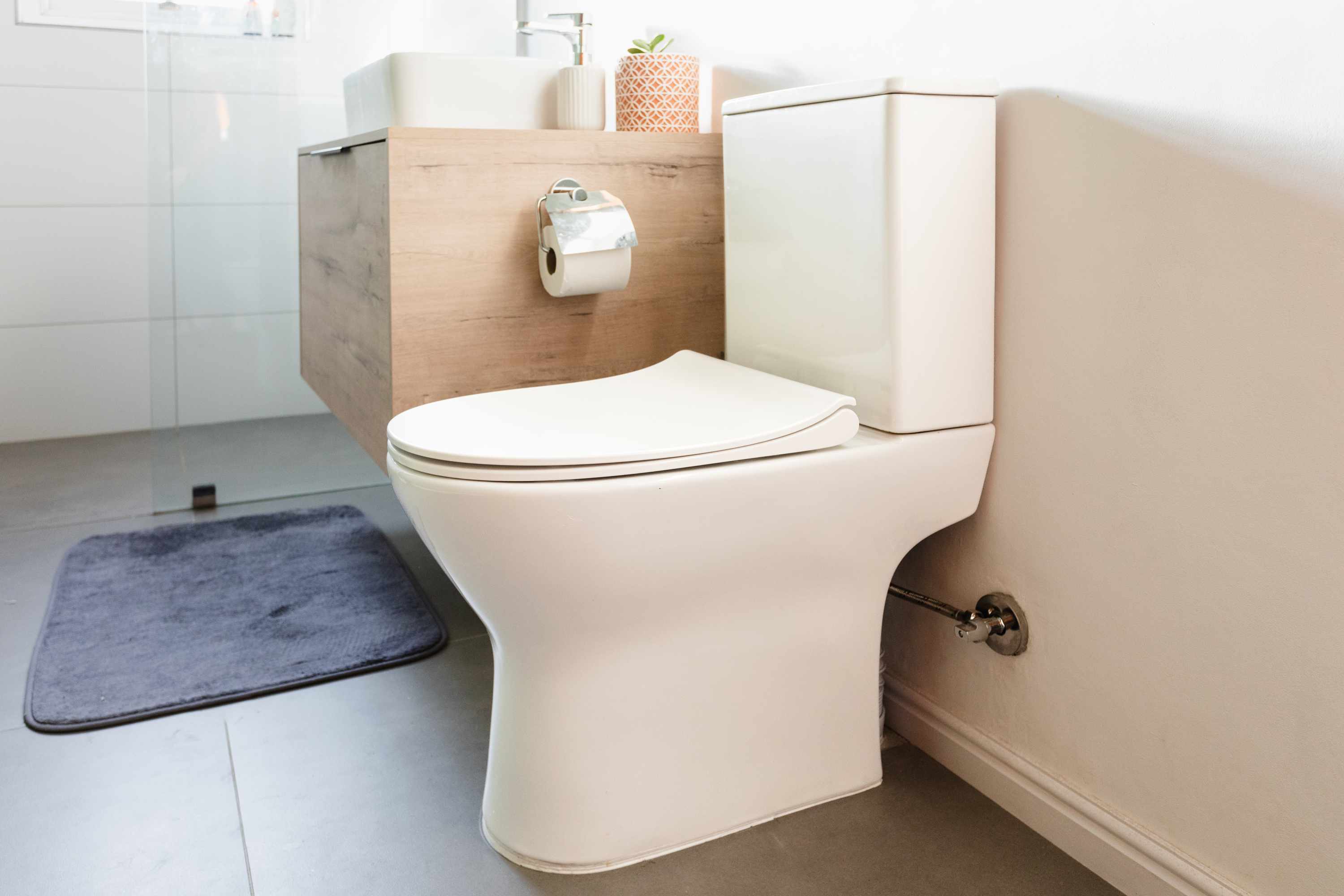 How Often Should You Change Toilet Seat
