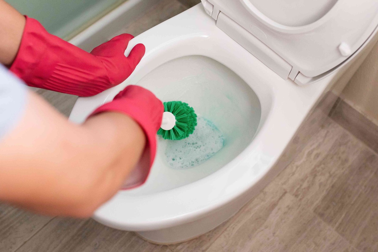 How Often Should You Replace A Toilet Brush