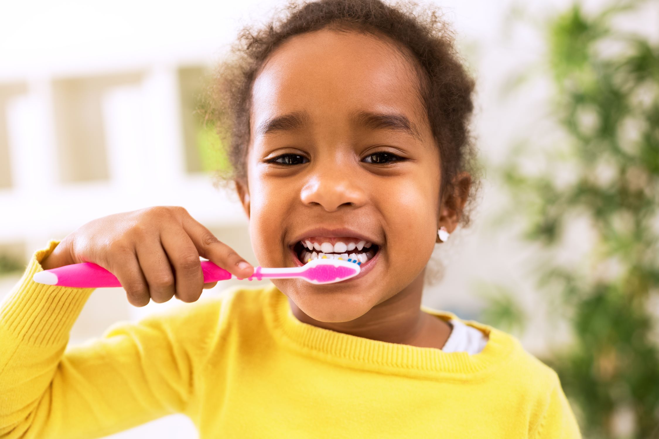 How Often To Change Toddler Toothbrush