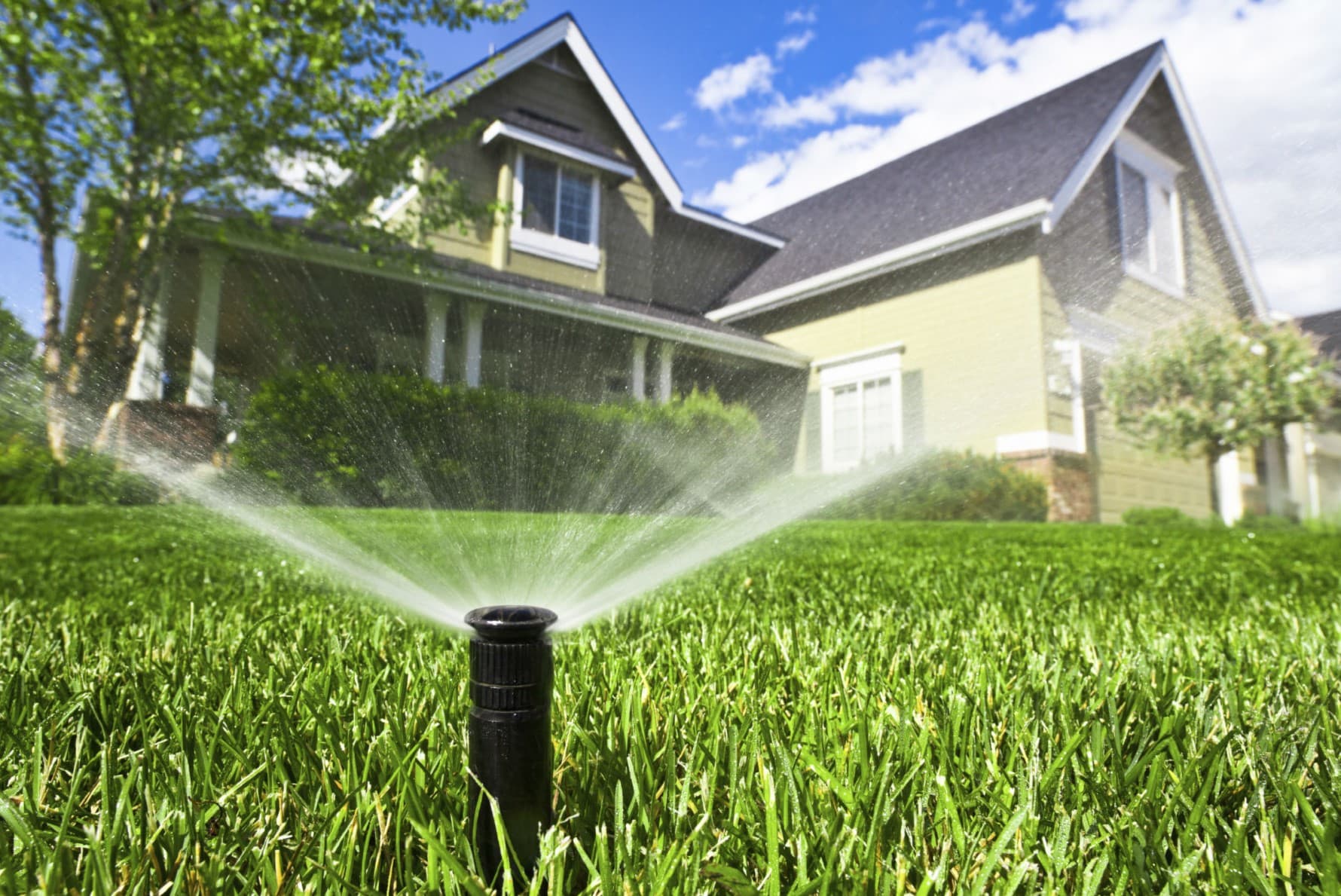How Often To Water My Grass In 100 Degree Weather