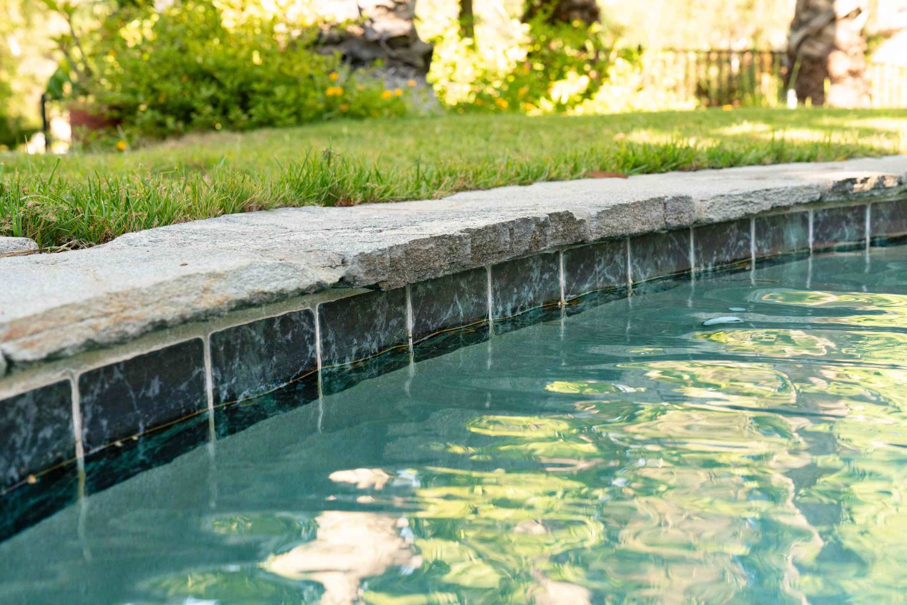 How To Clean Black Algae From A Swimming Pool