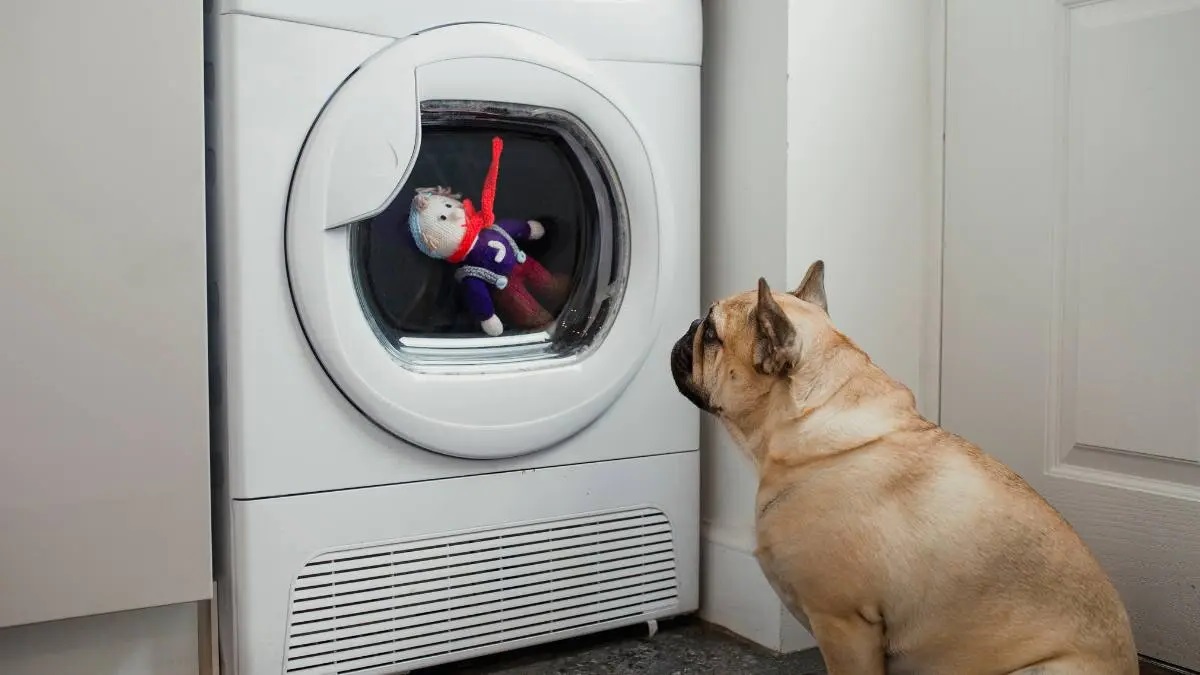 How To Clean Dog Toys In A Washing Machine