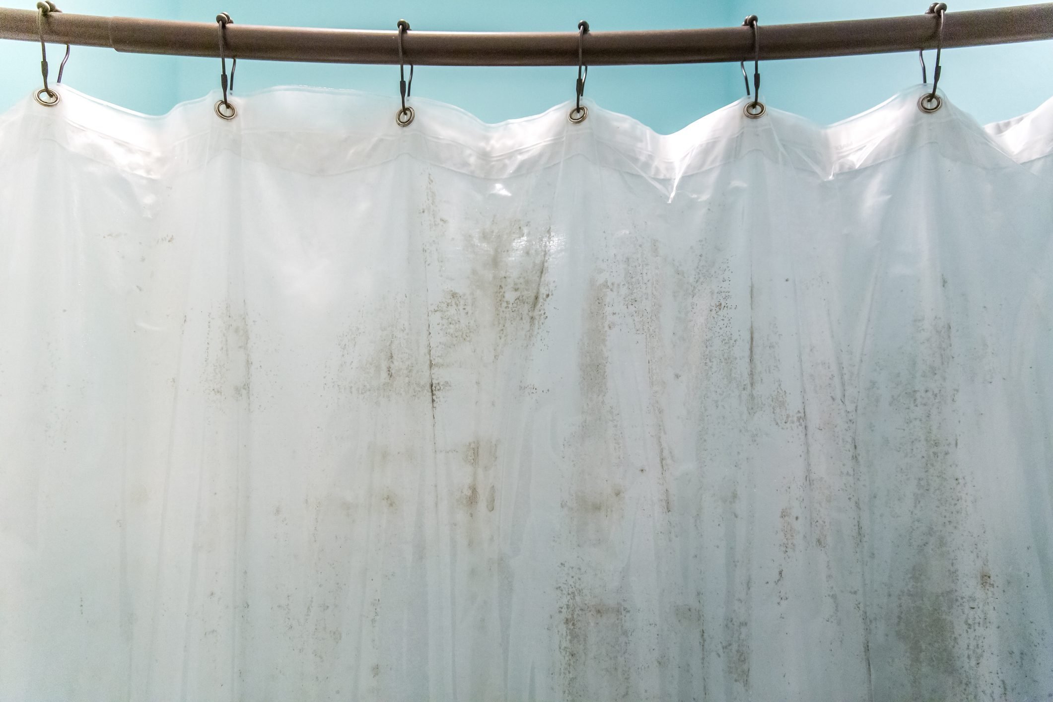 How To Clean Mildew Off A Shower Curtain
