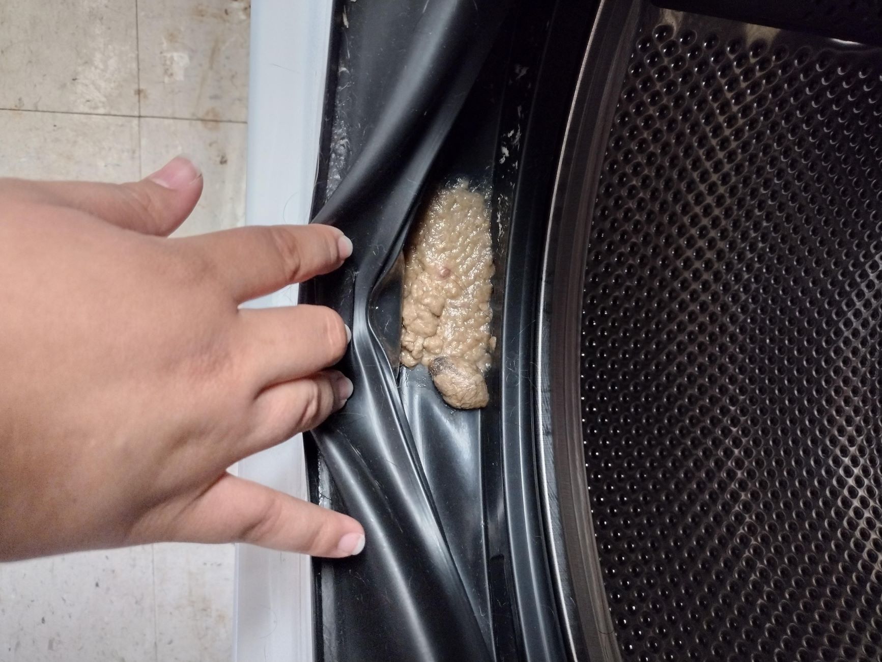 How To Clean Poop In A Washing Machine