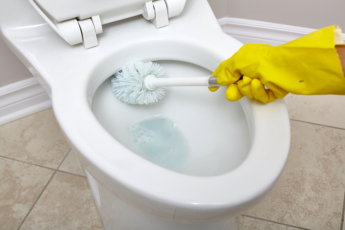 How To Clean Toilet Bowl Under Rim