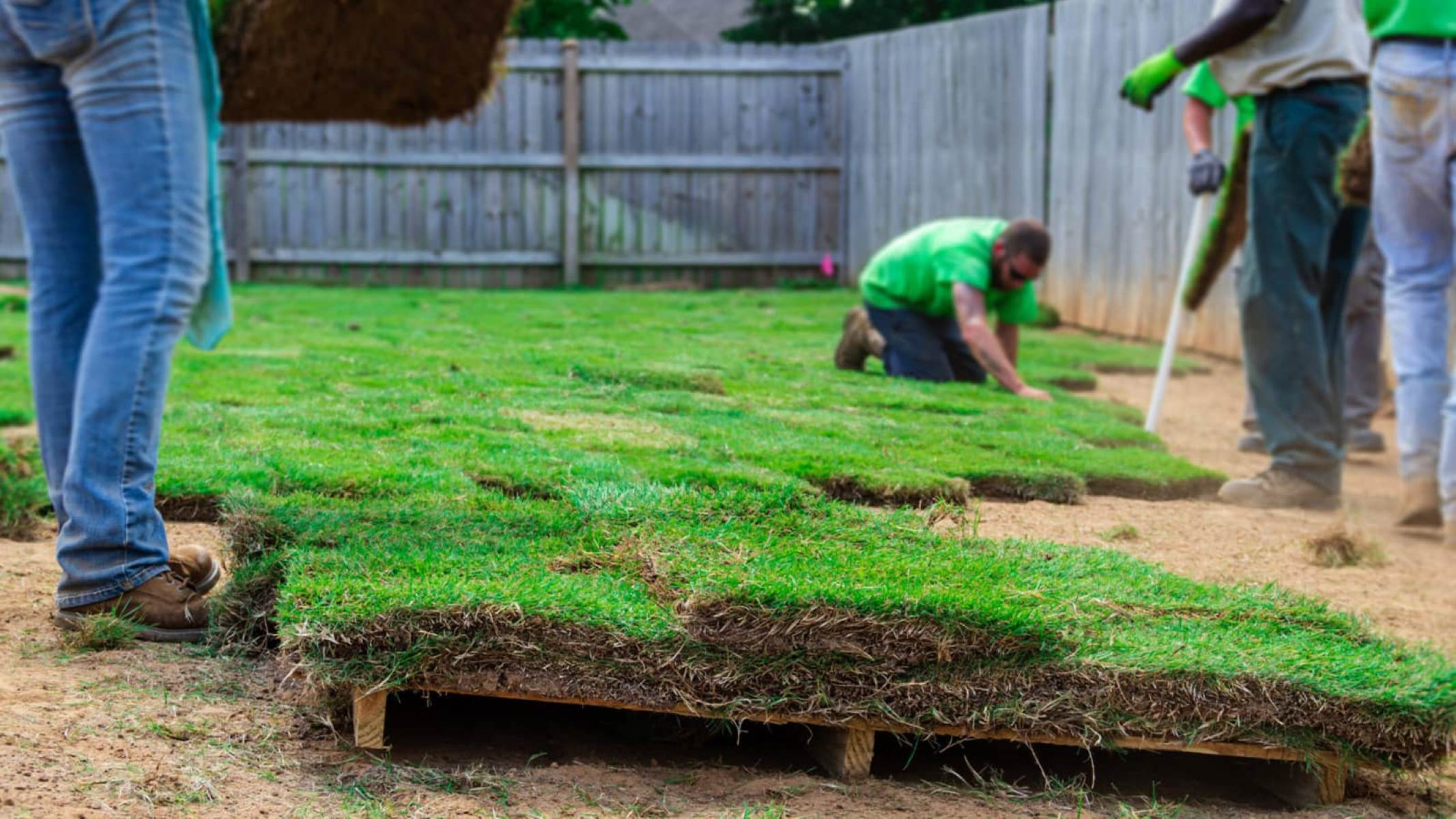 How To Cut Sod Grass