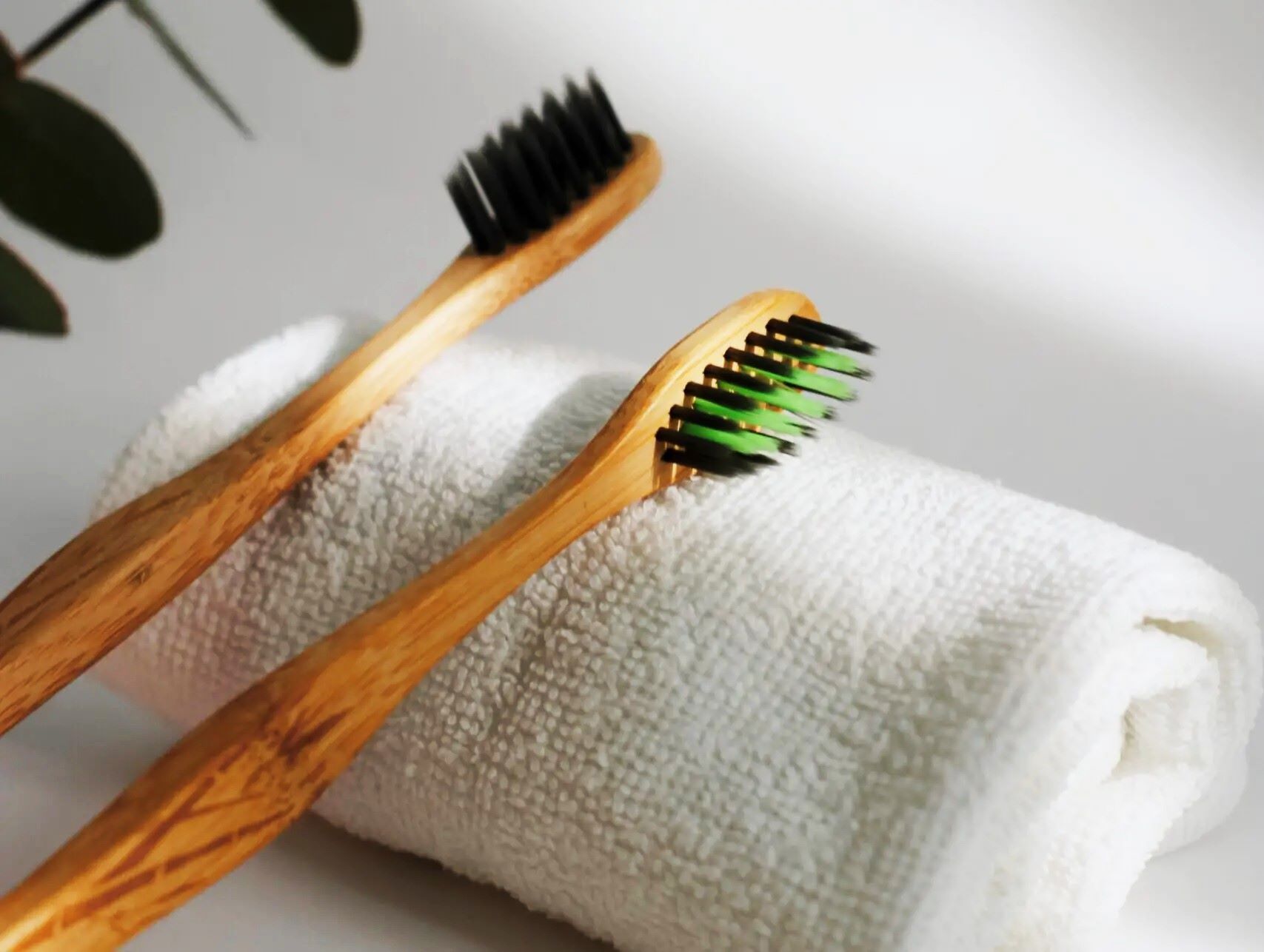 How To Dispose Of Bamboo Toothbrush