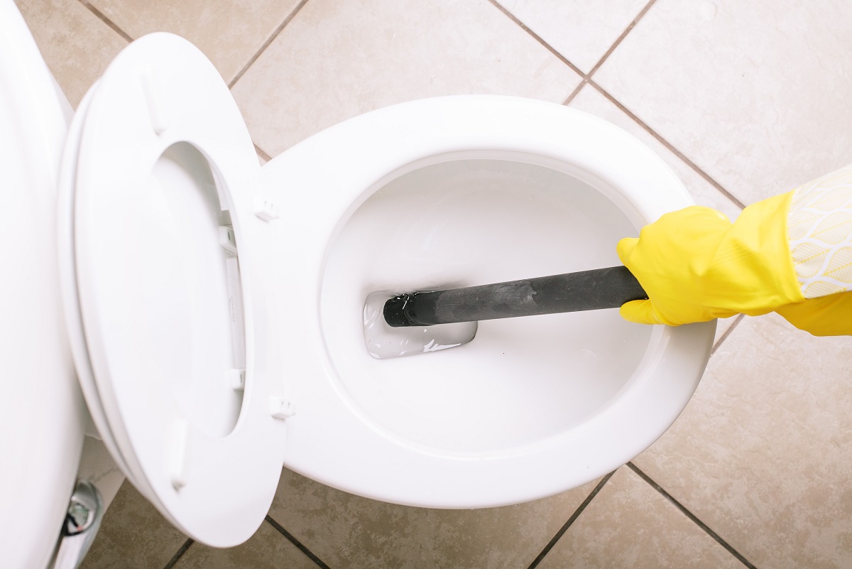 How To Drain A Toilet Bowl For Removal