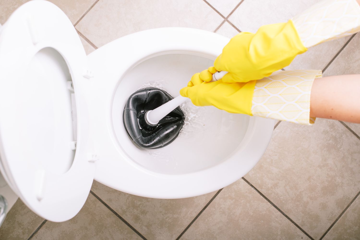 How To Empty Toilet Bowl To Clean