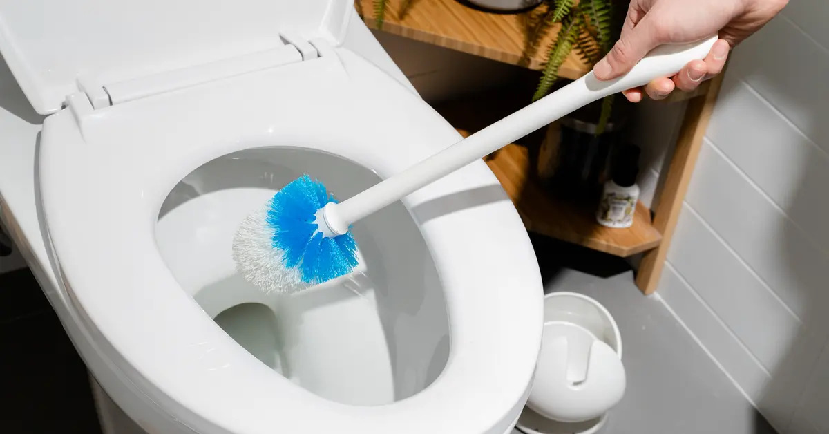 How To Get Pee Stains Out Of Toilet Seat