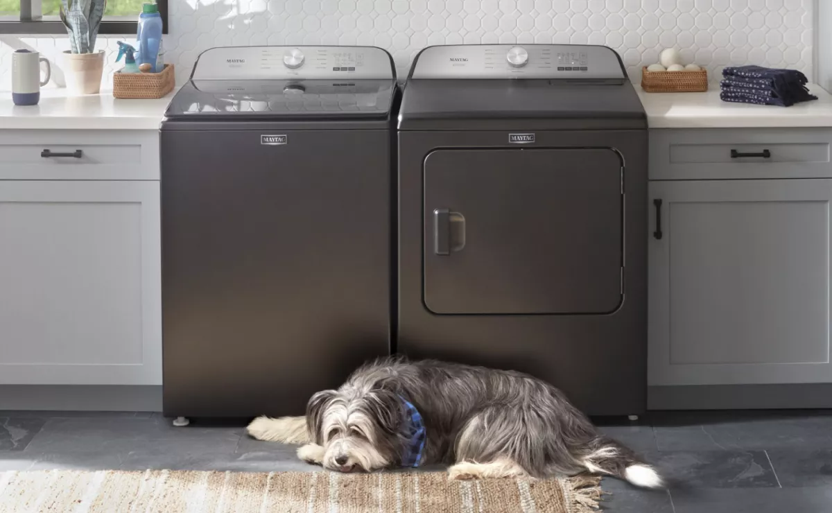 How To Get Pet Hair Out Of A Washing Machine