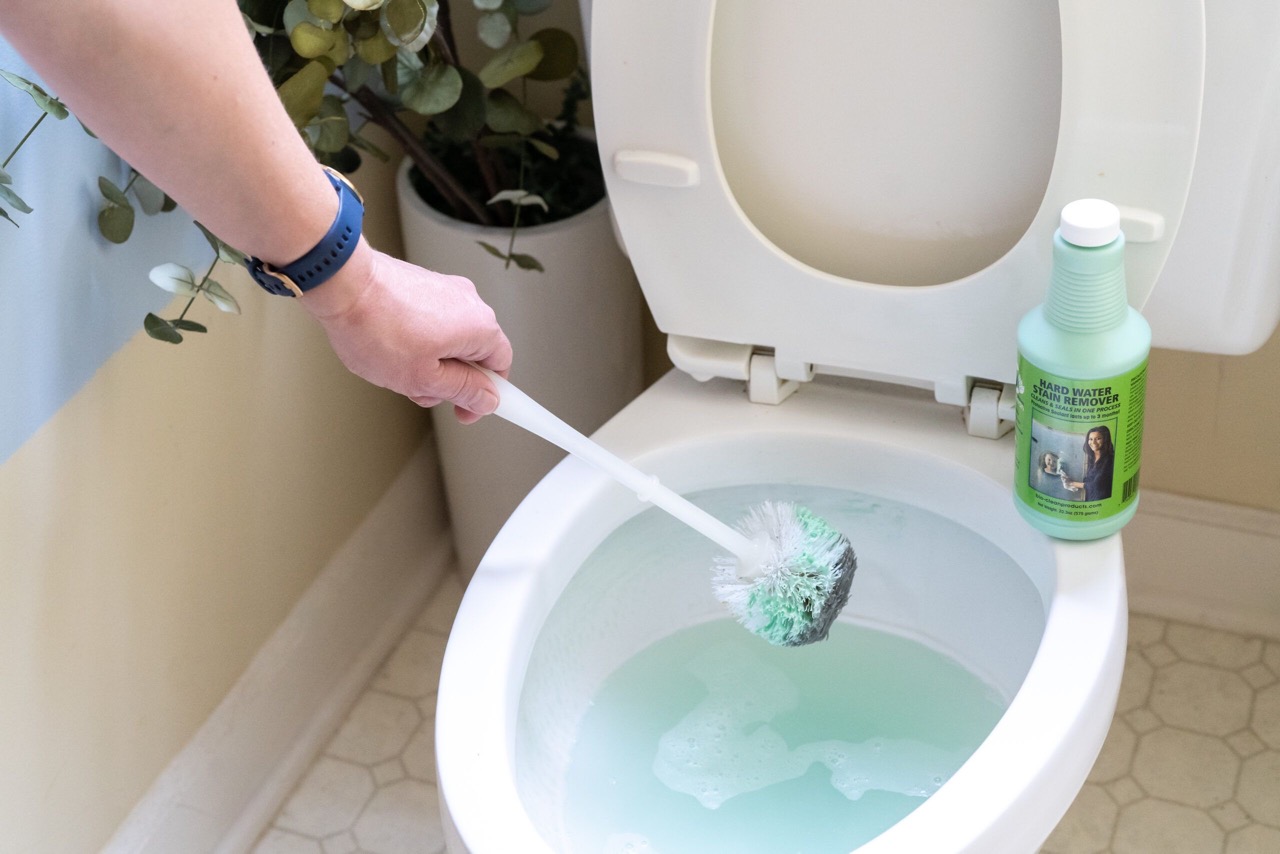 How To Get Rid Of Mold In Toilet Bowl