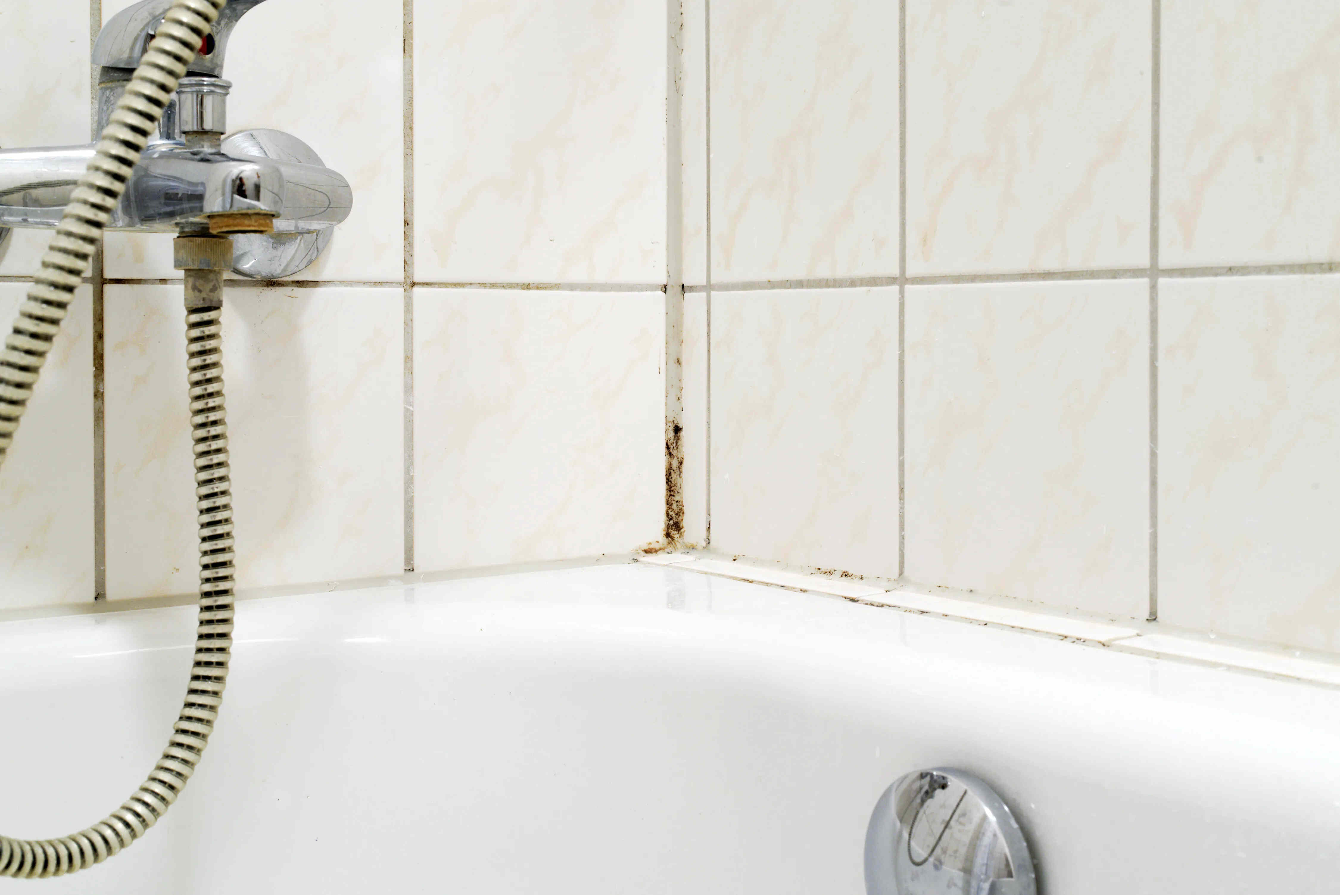 How To Get Rid Of Mold On Bathtub