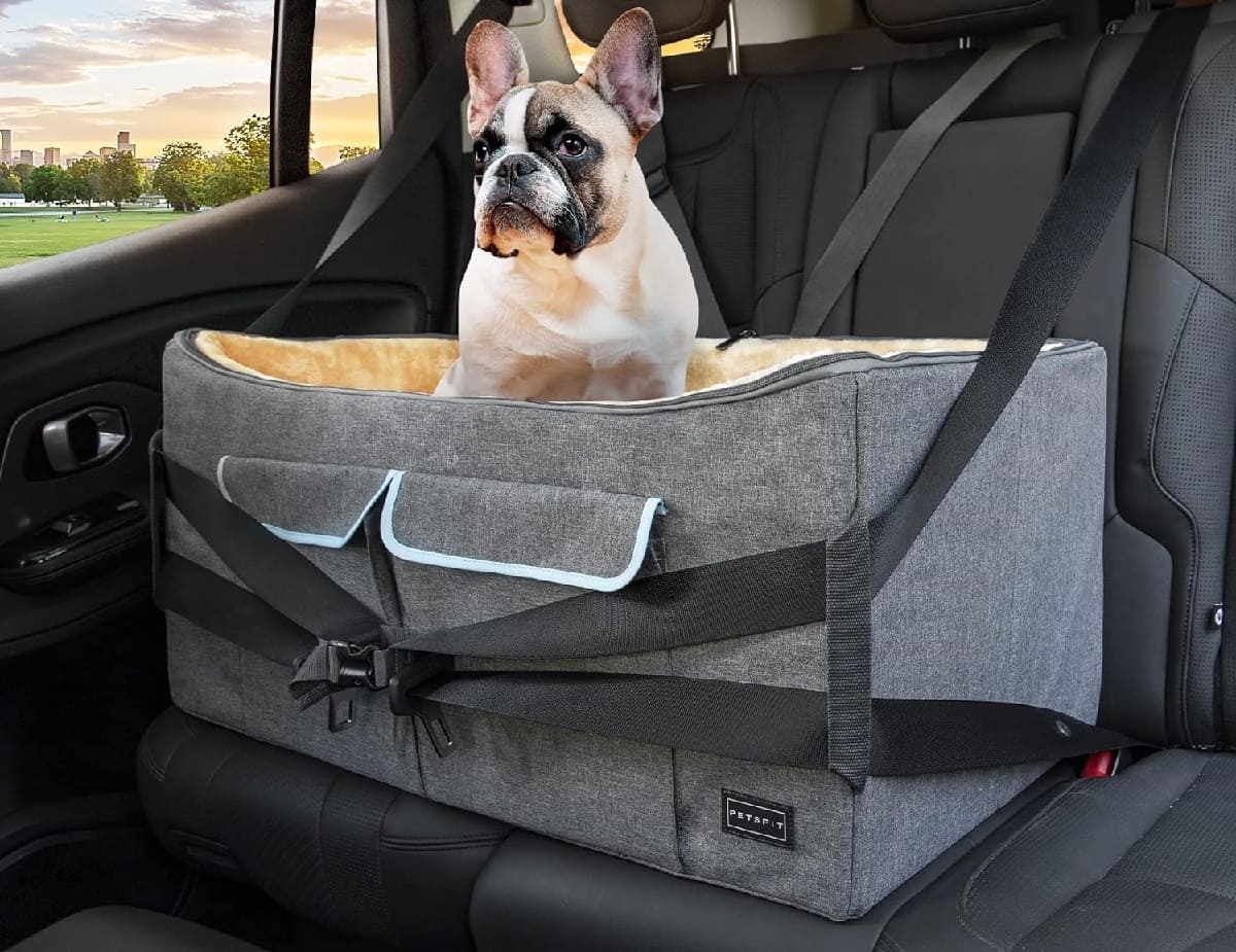 How To Make A Dog Booster Seat For The Car
