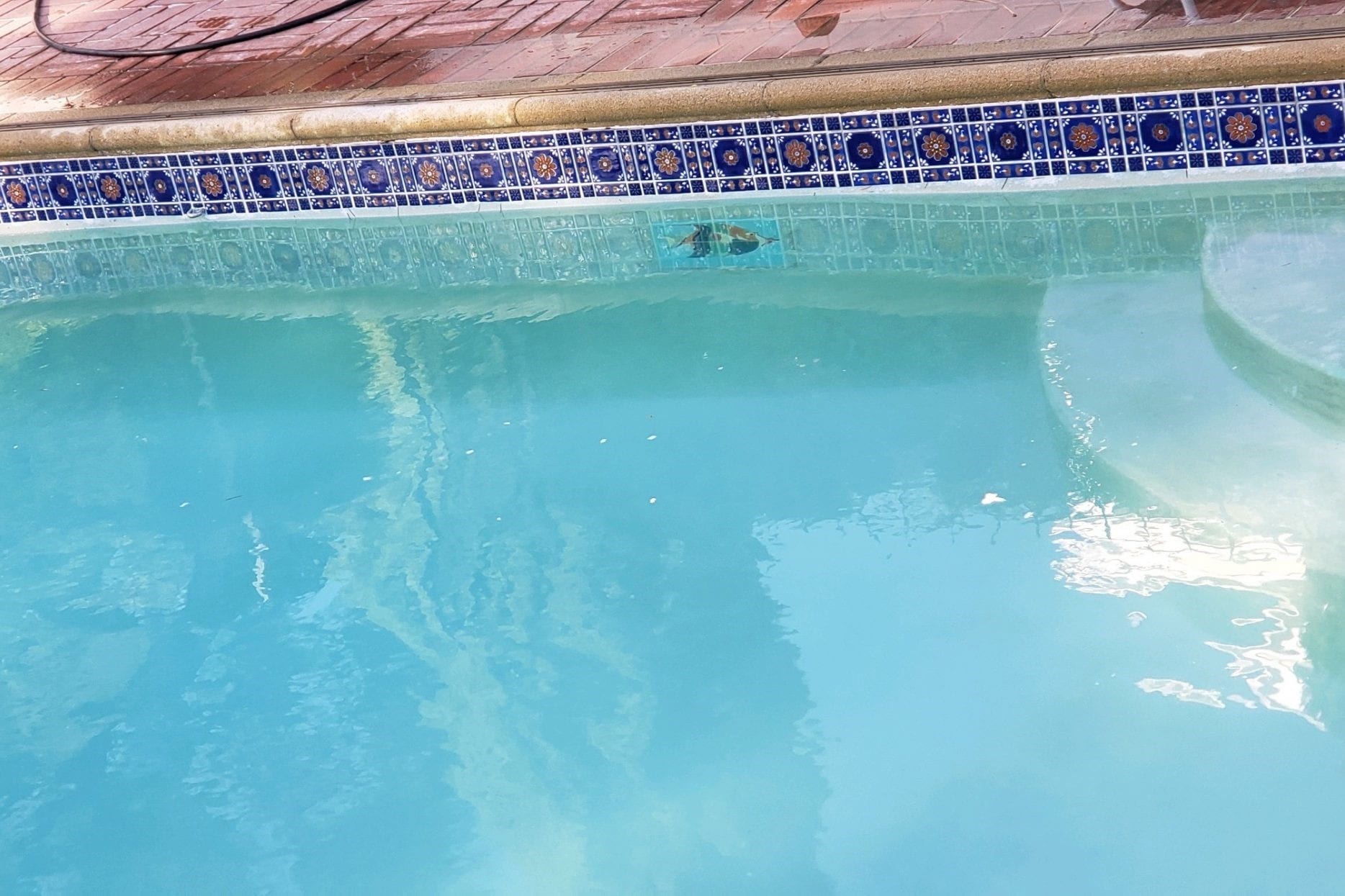 How To Remove Calcium From Swimming Pool Tiles