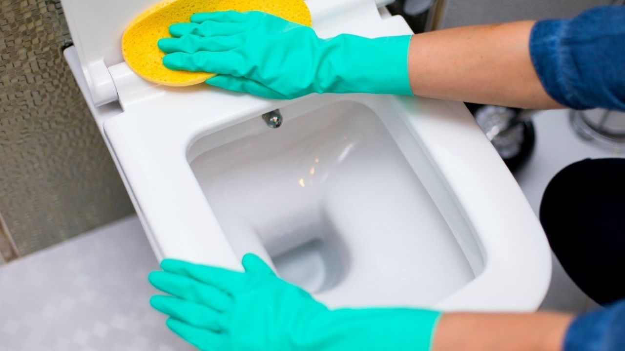 How To Remove Dye Stains From Toilet Seat
