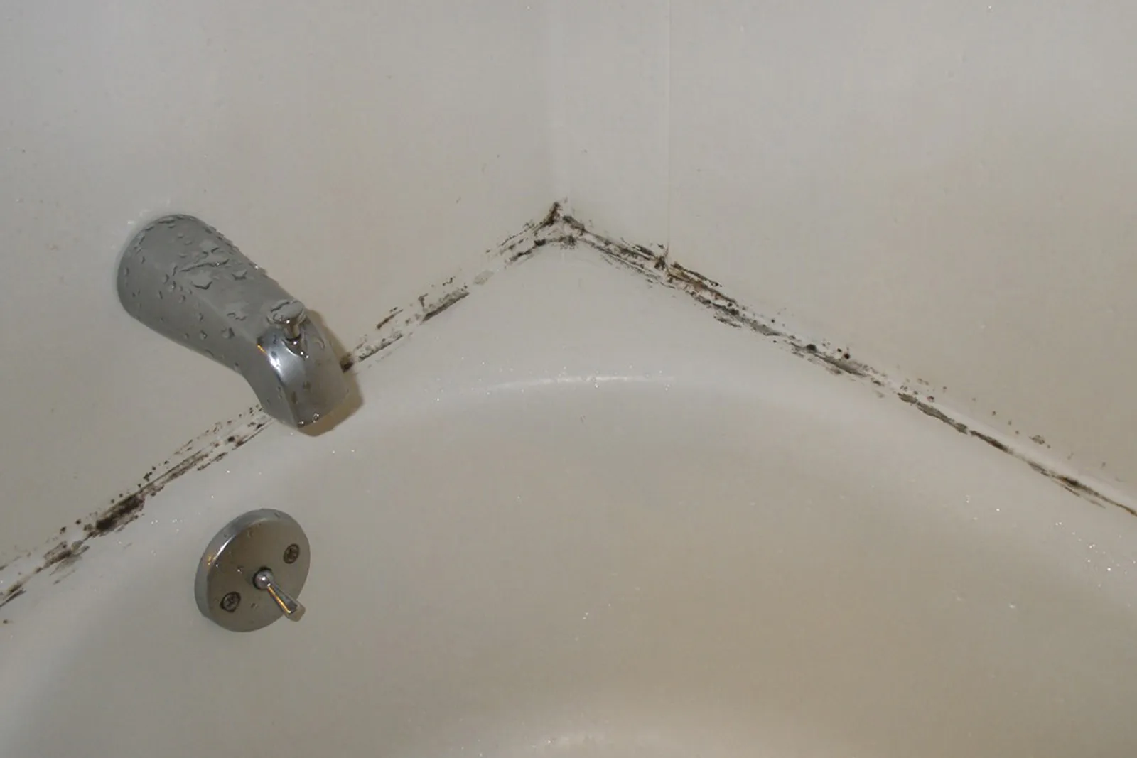 How To Remove Mold In A Bathtub