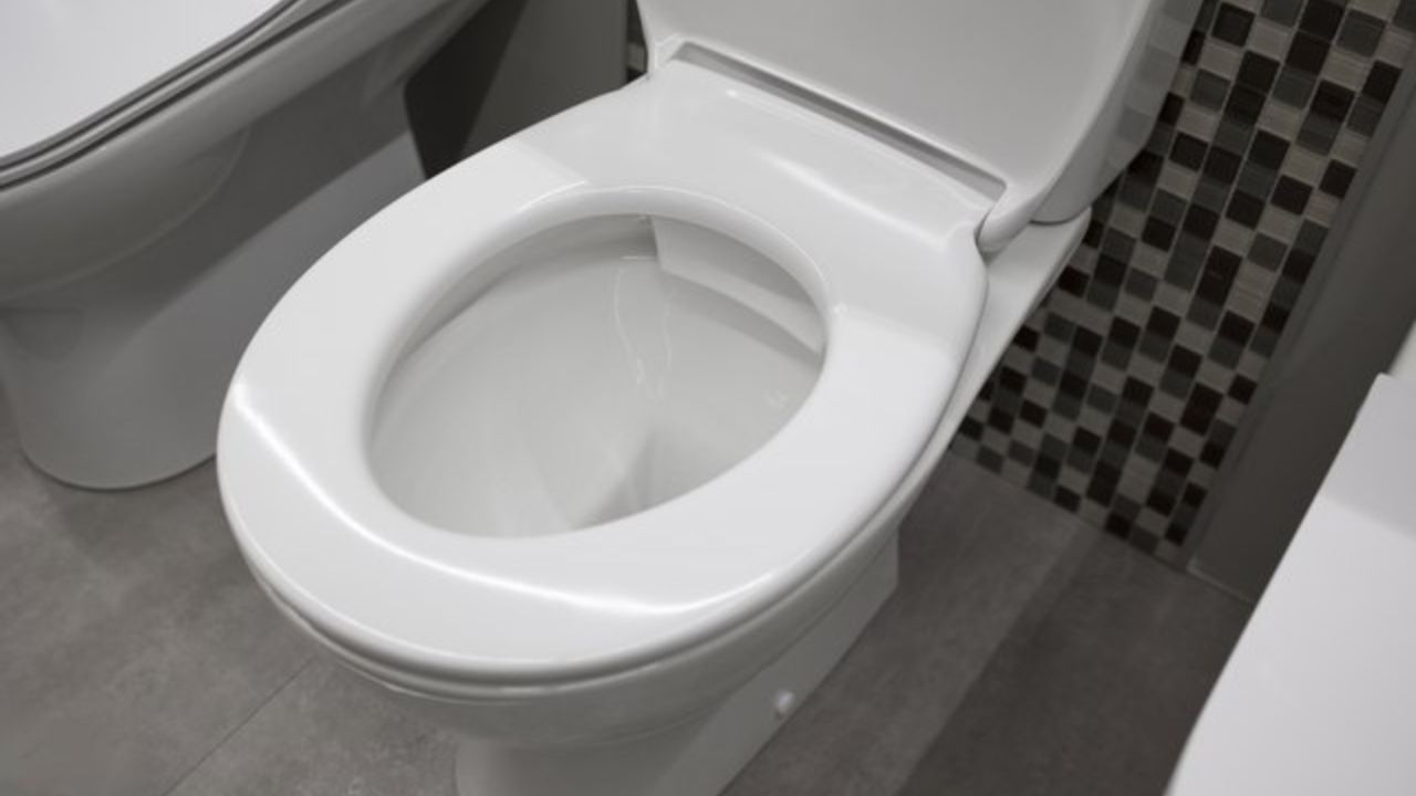How To Remove Plastic Nut From Toilet Seat?