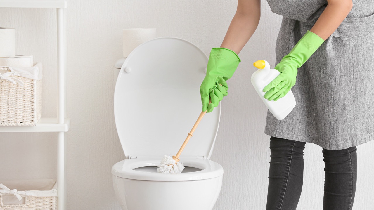 How To Remove Rust From A Toilet Brush