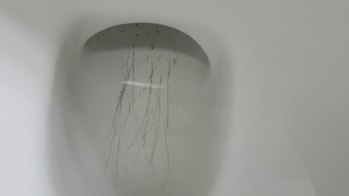 How To Remove Scratches From Toilet Seat