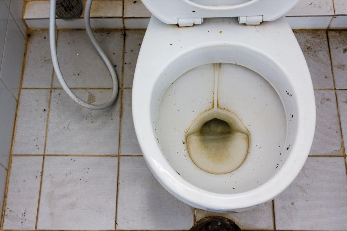 How To Remove Stains From Bottom Of Toilet Bowl
