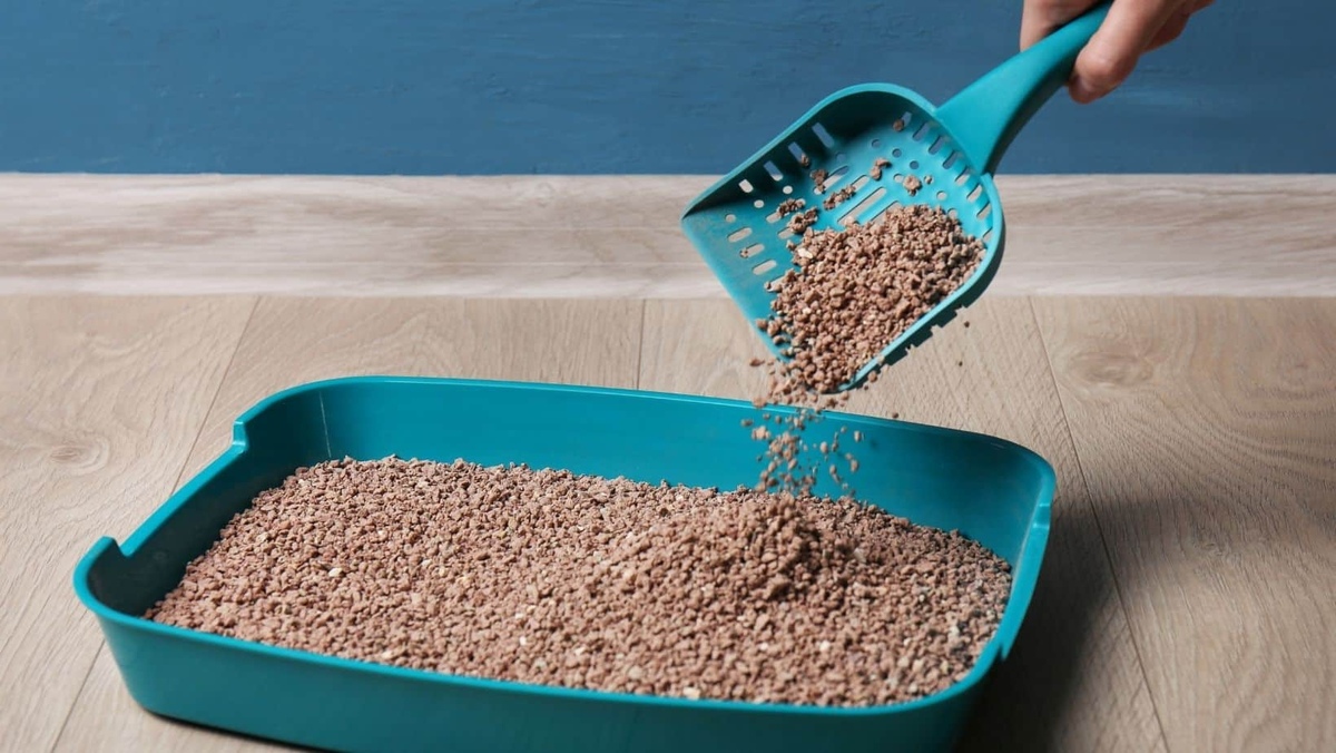 How To Use A Sifting Litter Box For Pine Pellets