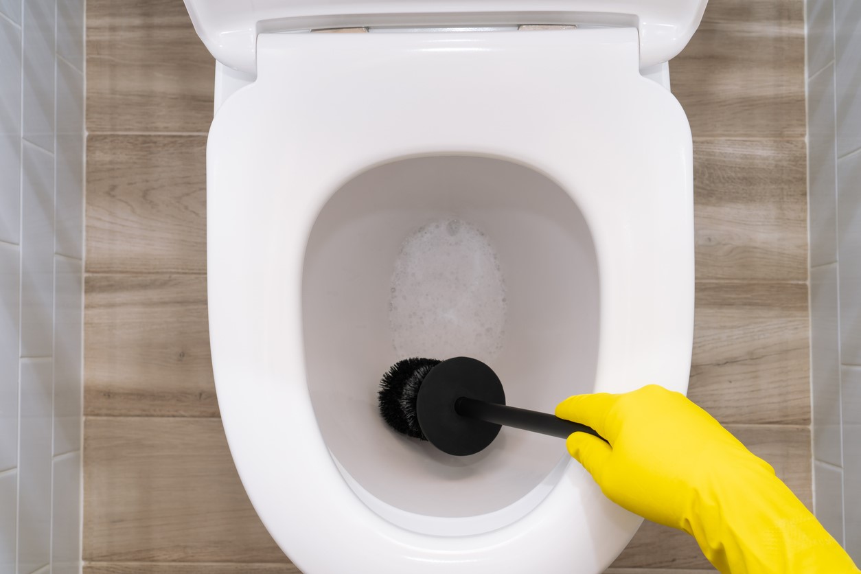 How To Use A Toilet Brush To Unclog A Toilet
