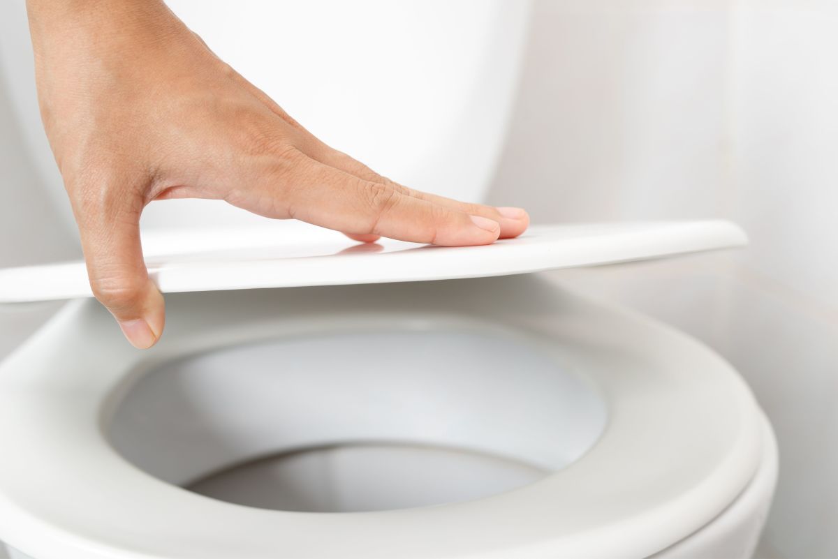 How To Use Toilet Seat Up Or Down