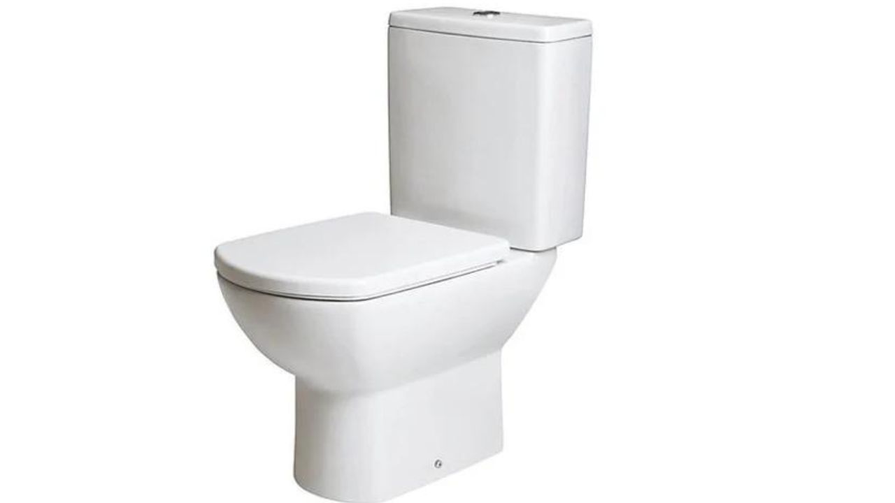 How To Use Western Toilet Seat: Step-By-Step
