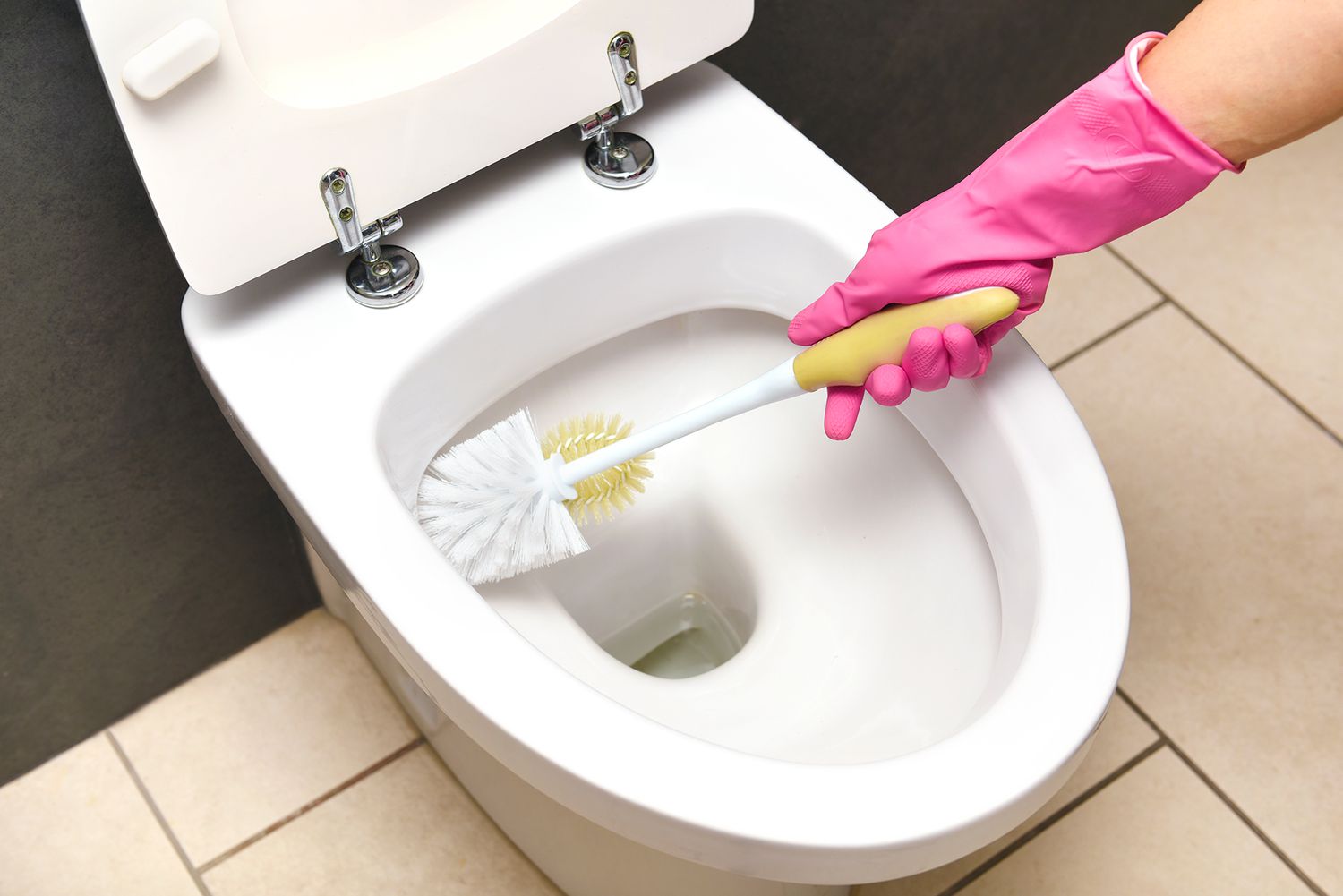 Martha Stewart’s Tips For Cleaning A Toilet Brush