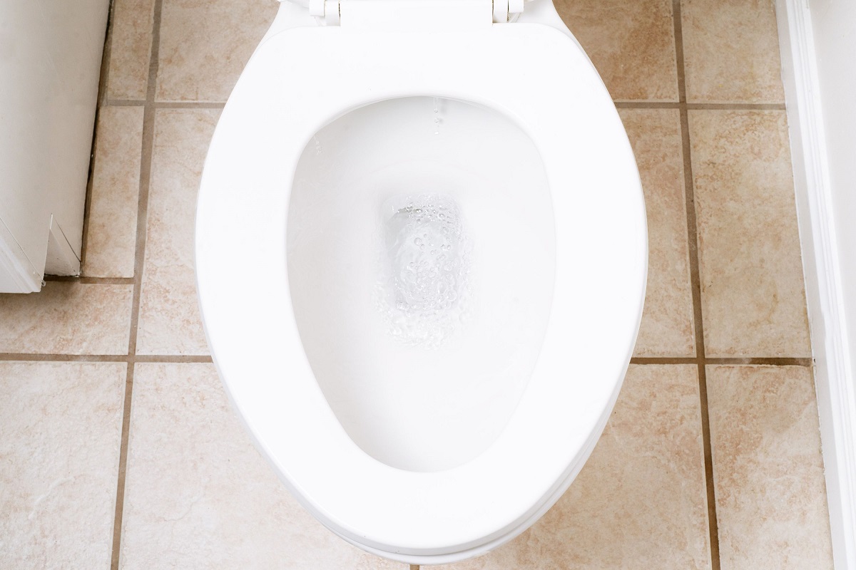 What Causes A Toilet Bowl To Lose Water