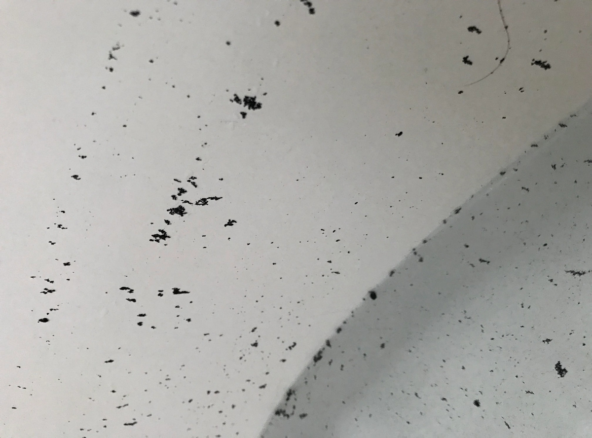 What Causes Black Stains In A Bathtub?