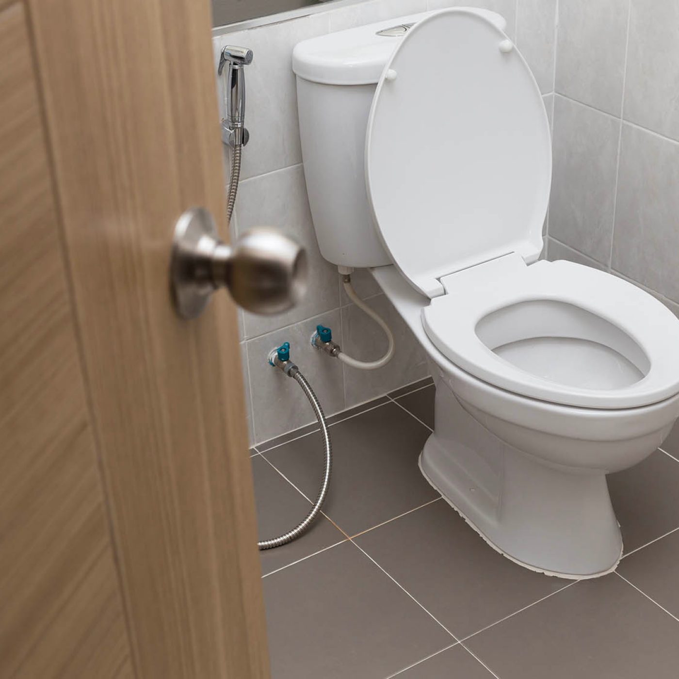 What Causes Blue Stains In Toilet Bowl Storables