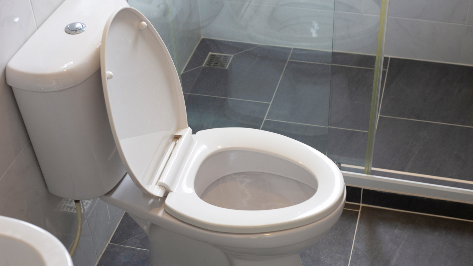 What Causes Clear Slime In Toilet Bowl