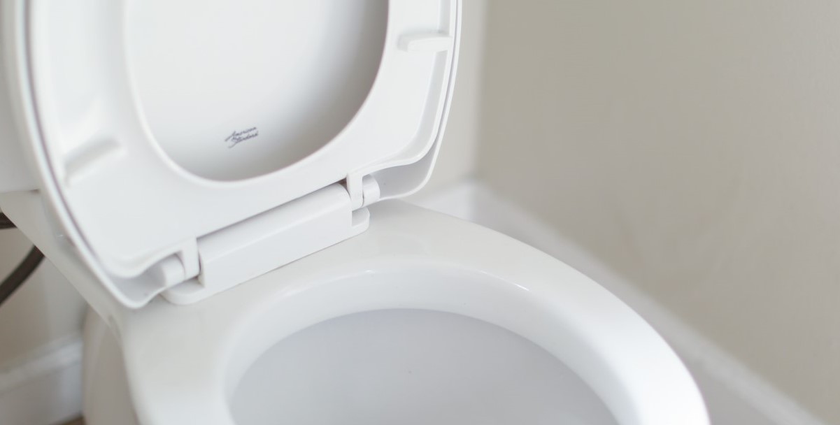 What Diseases Can You Catch From A Toilet Seat