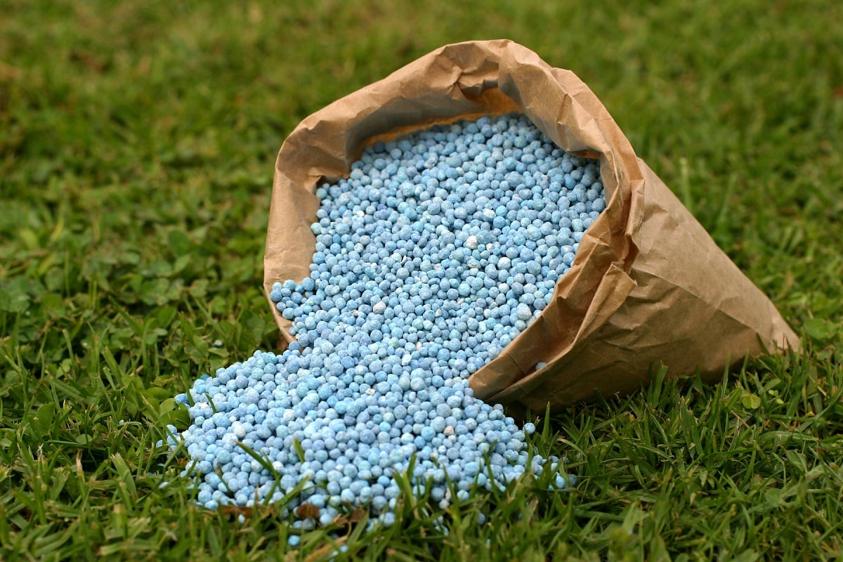 What Fertilizer To Use For Grass