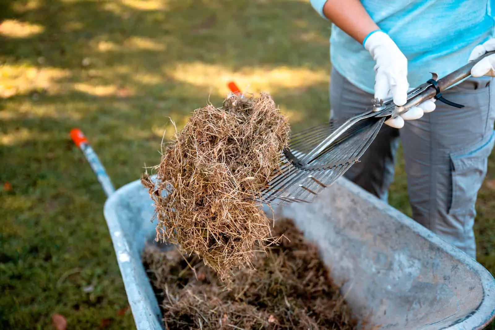 What Is Grass Mulching