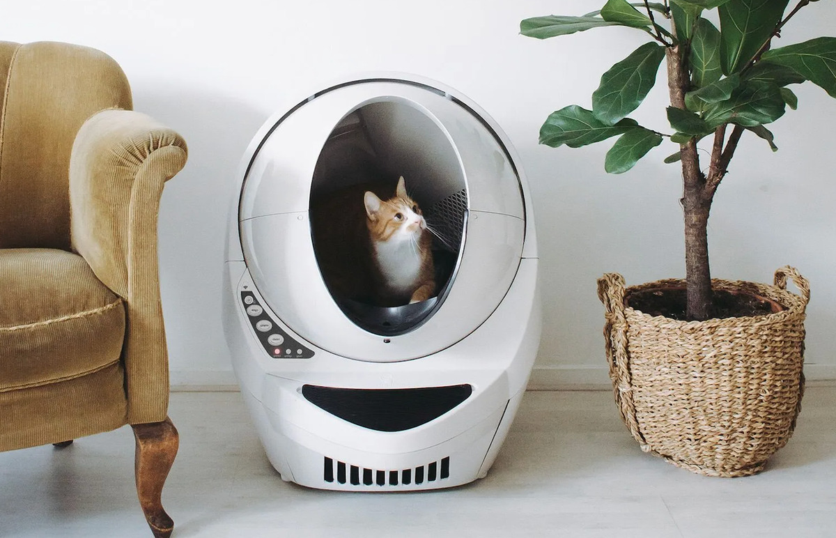 What Is The Best Litter Box For Odor Control