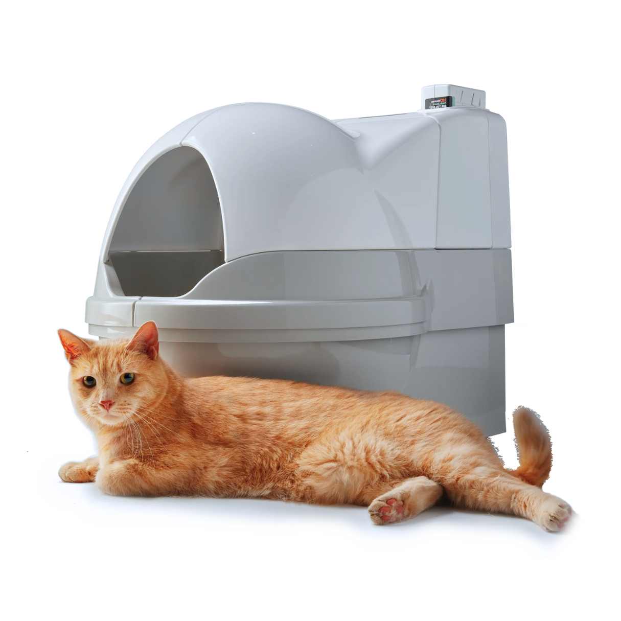 What Is The Largest Cat Litter Box Available
