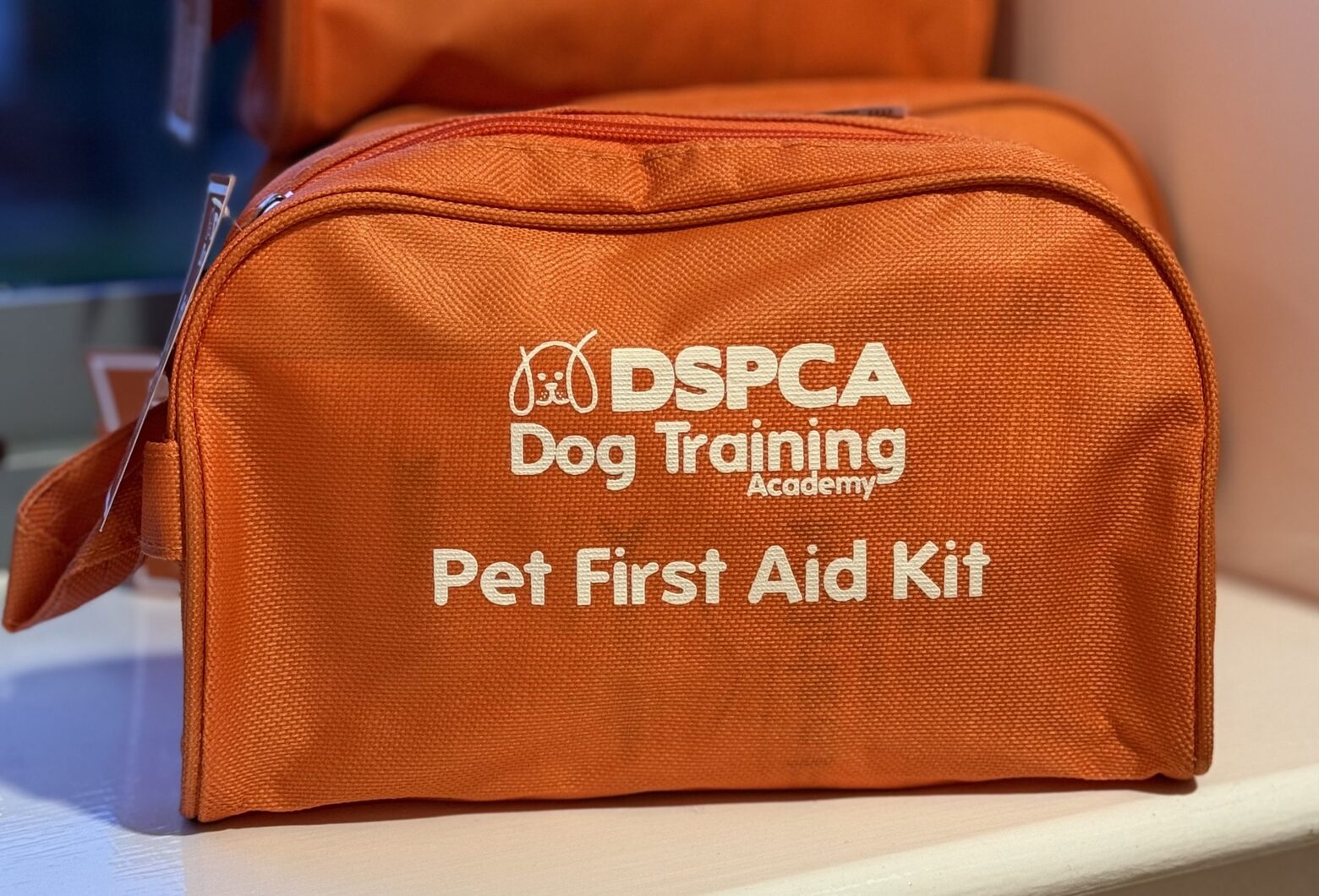 What Should Be In A Dog First Aid Kit?