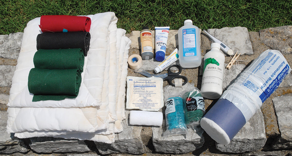 What Should Be In A Horse First Aid Kit